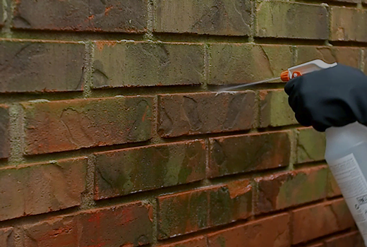 Brick Cleaning