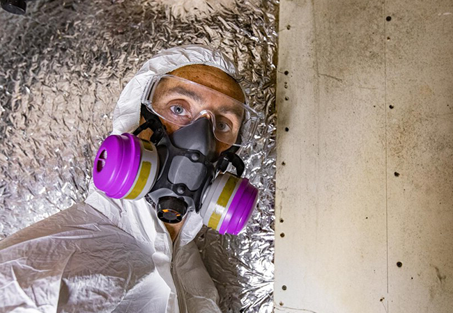 Asbestos & Lead Paint Removal Manhattan