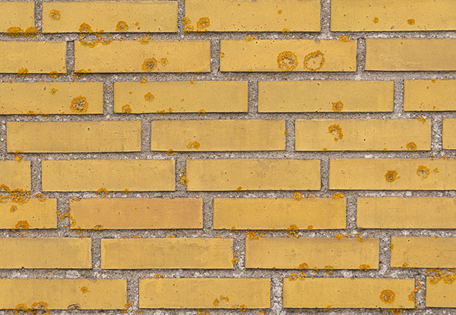 Custom Color Brick pointing Queens