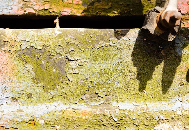 Asbestos & Lead Paint Removal Queens