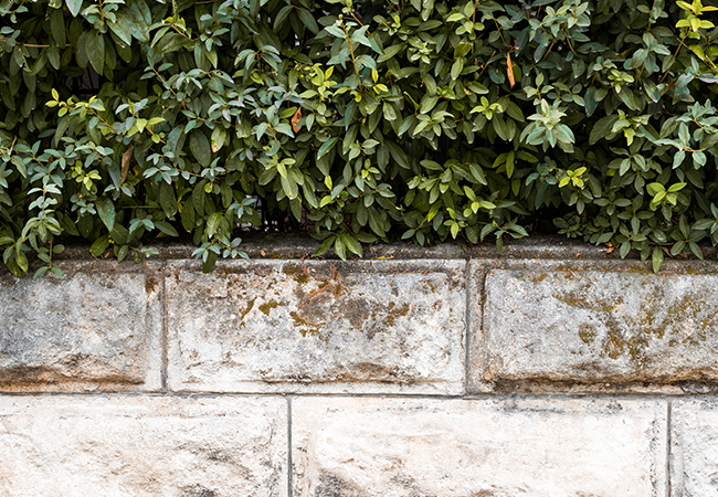 Retaining Walls Construction Westchester