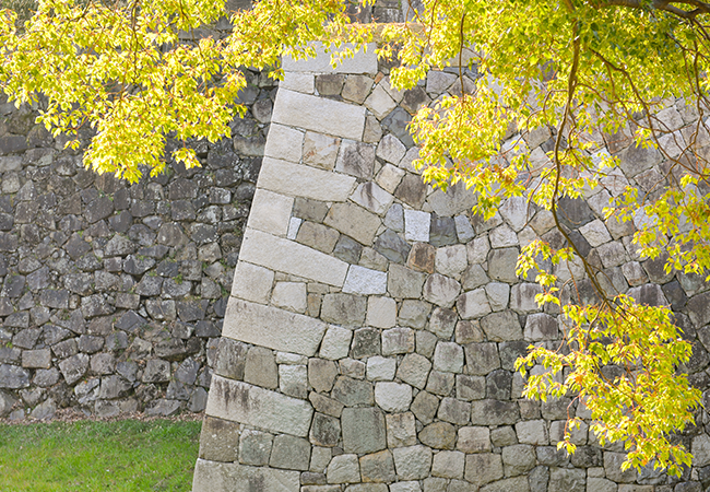 Retaining Walls Construction Westchester