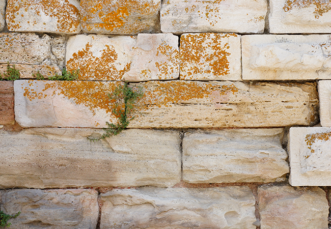 Stone Repair & Repointing Brooklyn