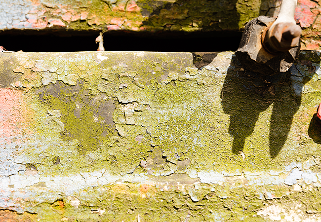 Asbestos Lead Paint Violation Removal Brooklyn