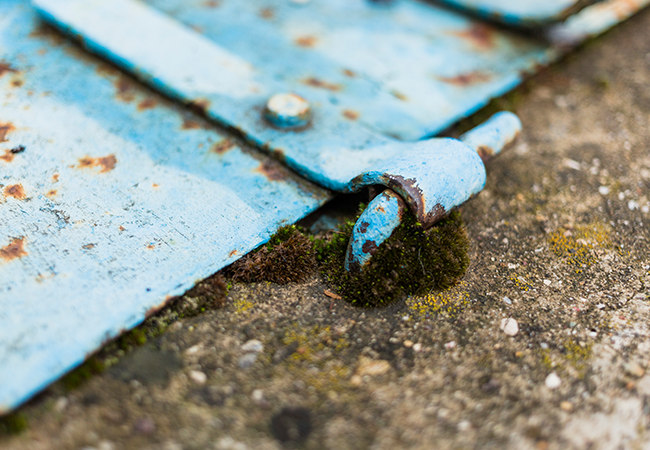 Asbestos Lead Paint Violation Removal Brooklyn