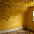Asbestos Lead Paint Violation Removal Yonkers