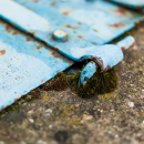 Asbestos Lead Paint Violation Removal Brooklyn