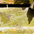 Asbestos & Lead Paint Removal Queens Asbestos & Lead Paint Removal Queens