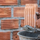 Brick Replacement Westchester